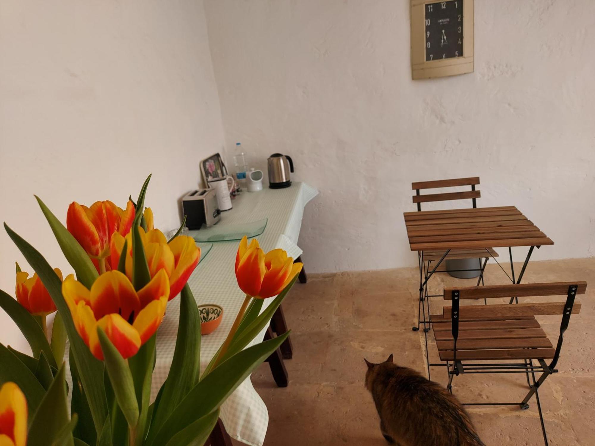 Razzett Warda B&B Għasri Zewnętrze zdjęcie